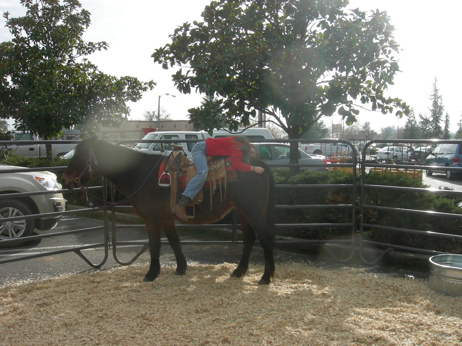 Home at Last Sanctuary A Great Day At Tractor Supply Company in Oroville