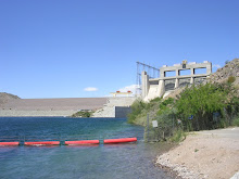 Davis Dam