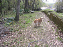 Me at the S & O Canal