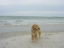 At Wrightsville Beach