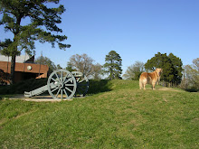 Me directing the cannons