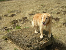 Me on a smaller rock