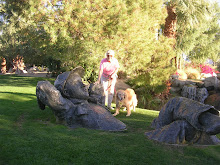 At Civic Center Park