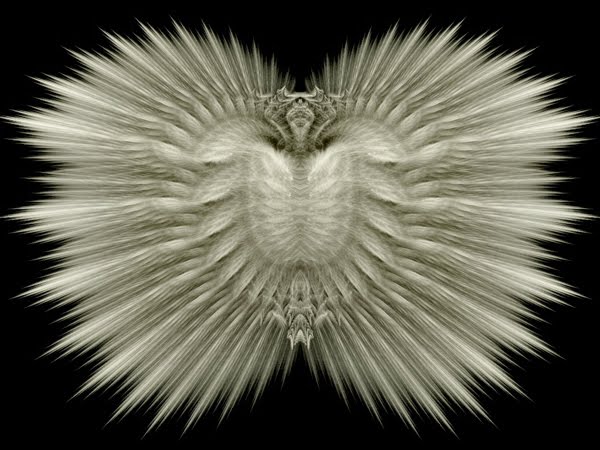 White Feather Shield black and white Wallpaper