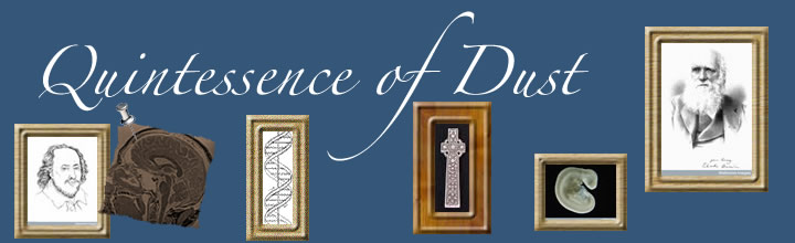 Quintessence of Dust