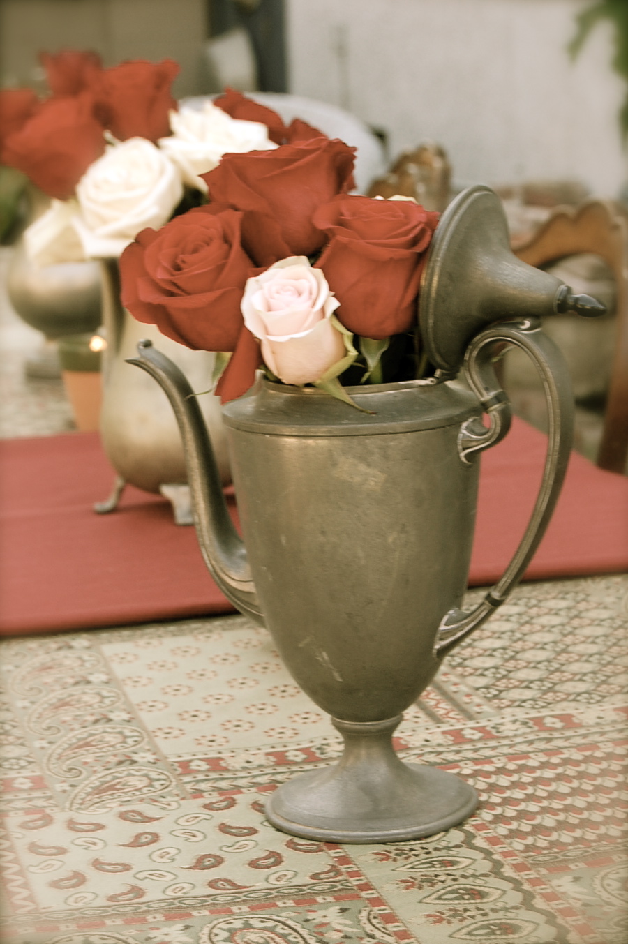 [DSC_0091.JPG]