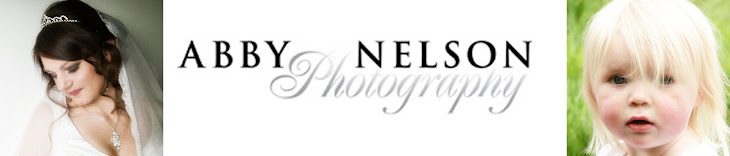 Abby Nelson Photography Blog