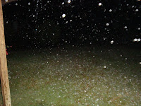 Hail in Charlie and Sue's front yard
