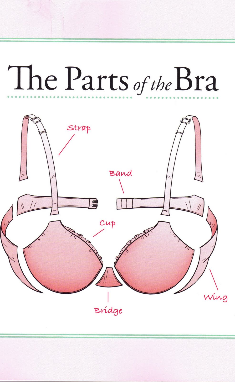 Nizo Wear Demystifying parts of the bra...