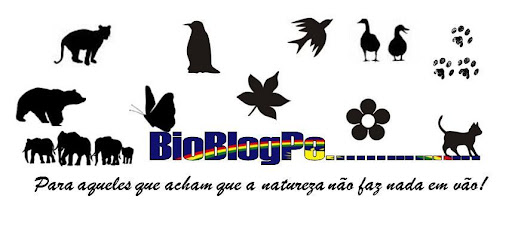 BioBlogPE