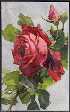 la rose rouge d'apres catarina klein
