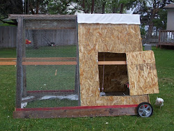 chicken coop triangle coops diy door cheap automatic chickens backyard daughter tag