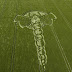 Dragonfly crop circle appears in Wiltshire,2009