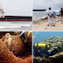 Get Ready For Another Oil Spill - As Cargoship Hit Coral Reef In Lakshadweep Island, India