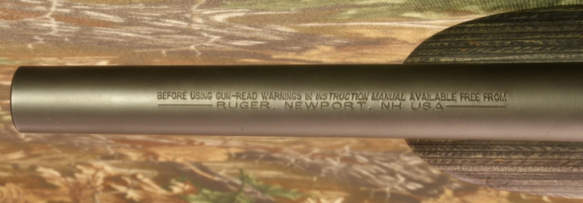 Ruger_22_Charger_20.JPG