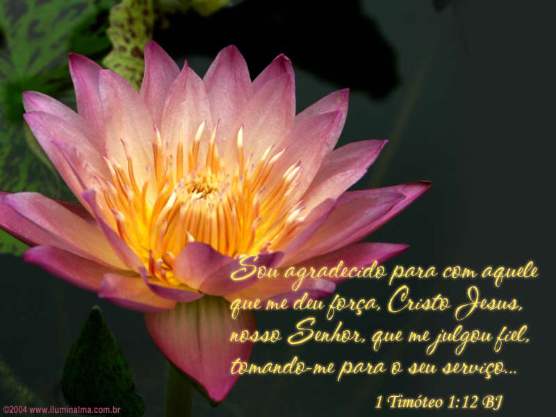 [ia_1timoteo1_12.jpeg]
