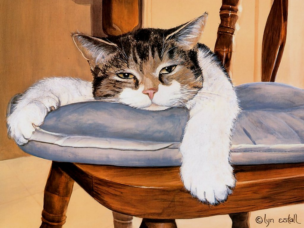 [Gato-Dormilon.jpg]