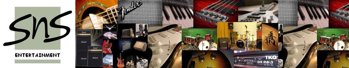 SNS MUSICAL STUDIO AND ENTERTAINMENT
