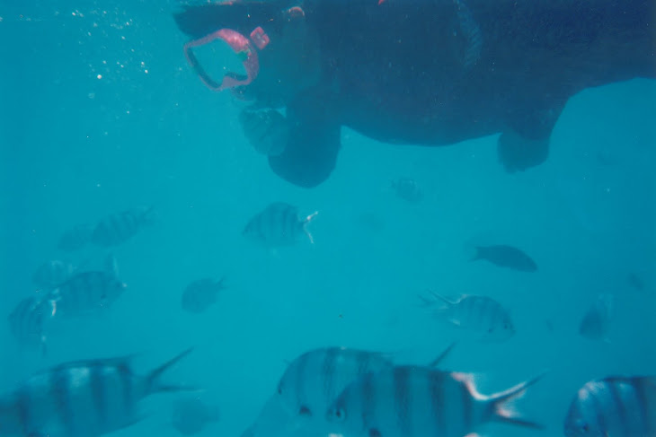Coral Bay, Western Australia