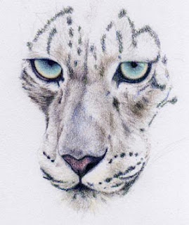 Coloured Snow Leopard by Jennifer Rose Phillip