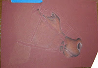 Coloured Pencil Horse WIP Copyright Jennifer Rose Phillip