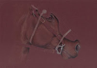 Dark Knight Copyright Jennifer Rose Phillip coloured pencil drawing of a horse