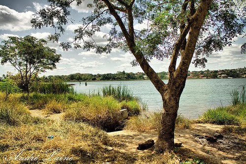 A Lagoa da Prata * Parque Ecológico