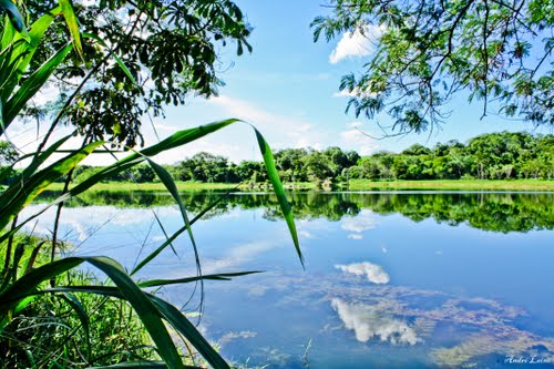 Para Voltar ao Início da Página Clic. na Imagem