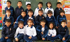 KINDER D