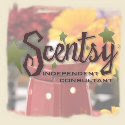 Check out my new Scentsy Site