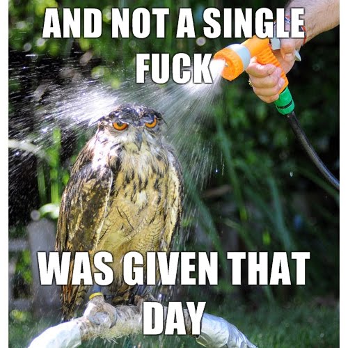 AND-NOT-A-SINGLE-FUCK-WAS-GIVEN-THAT-DAY.jpg