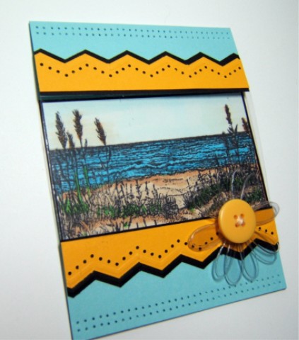 [C4C11+Acetate+Flat.jpg]