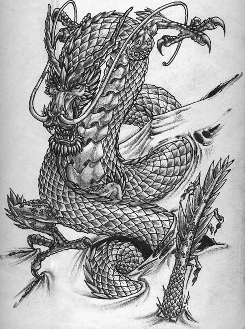 TattooFinder.com artist Brian Burkey's dragon tattoo design