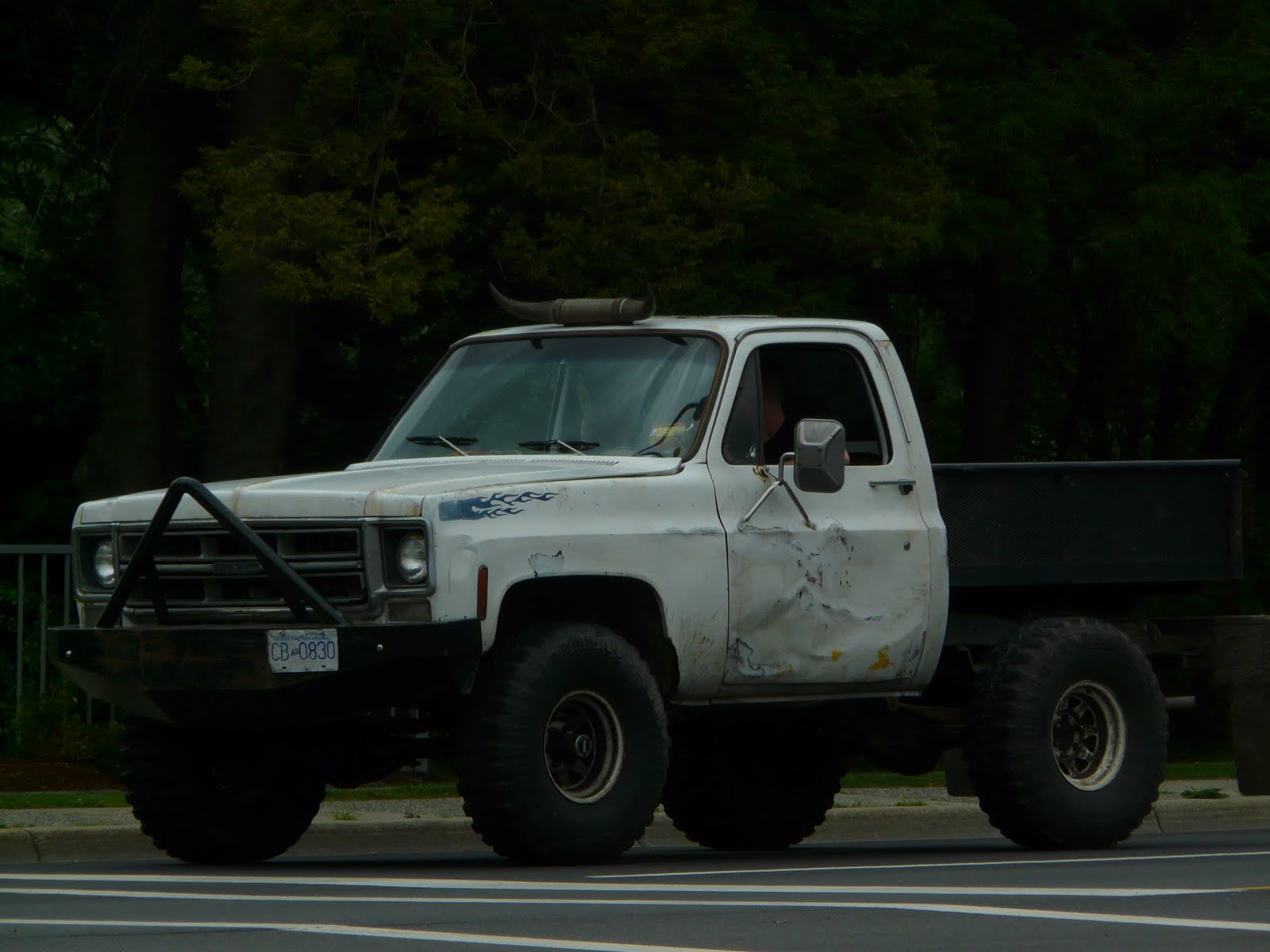 The Redneck Hillbillies Watch out for the horns!