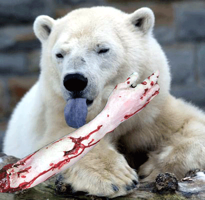 [polar-bear-tongue_arm.gif]