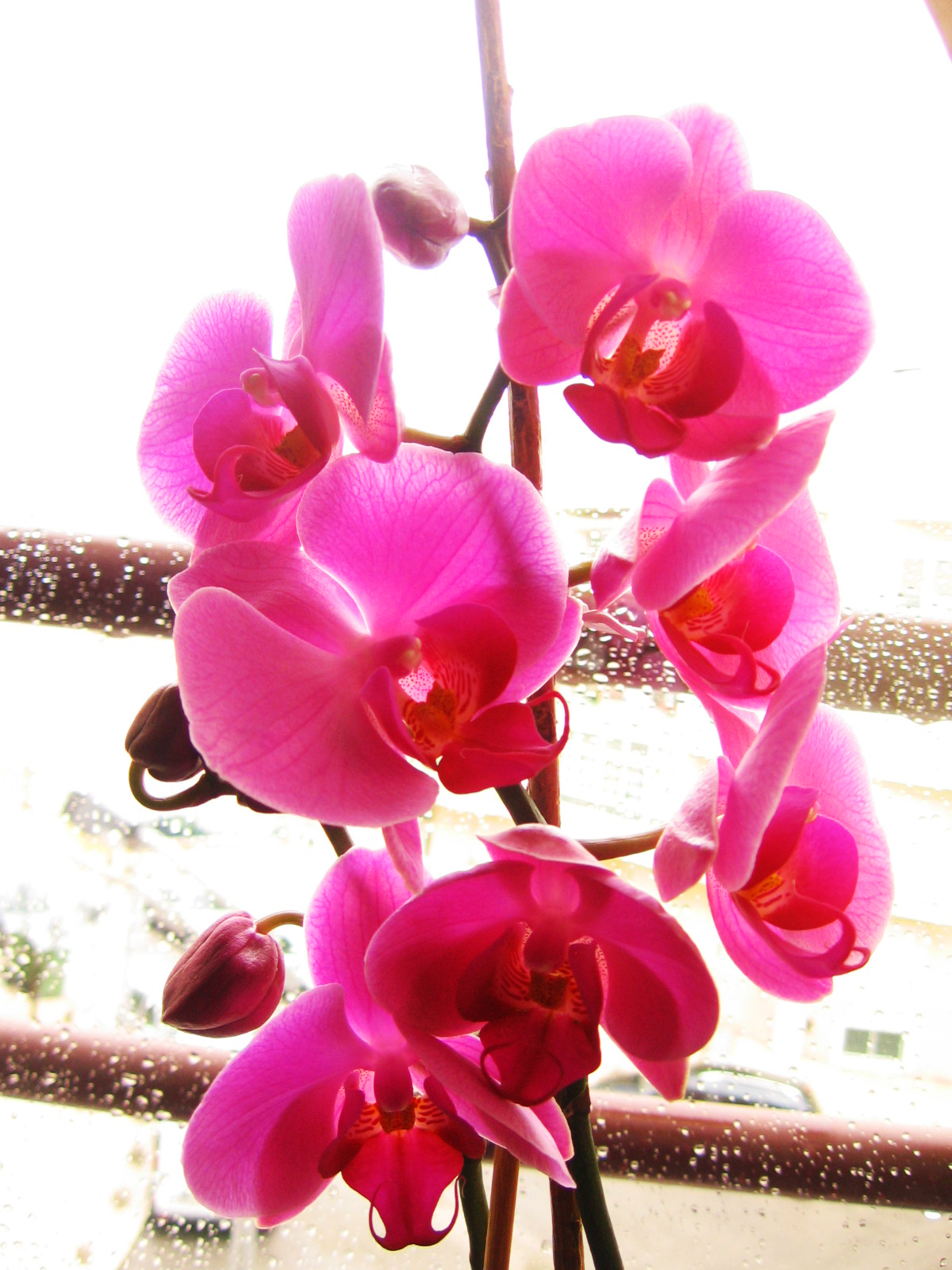 [IMG_3985.JPG]