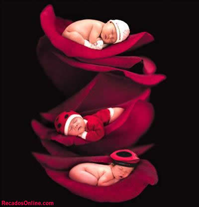 [bebes136.jpg]