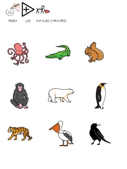 Dibujos Para Colorear De Animales Omnivoros Dibujos De