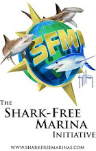 Shark-Free Marina