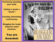 My No Bullshit Award