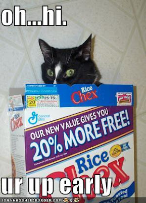 funny-pictures-cat-caught-in-cereal-box.jpg