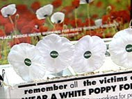 White Poppies for Peace