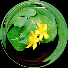 El beneficio de crear enfermedades y ofertar los tratamientos 2 hipericum