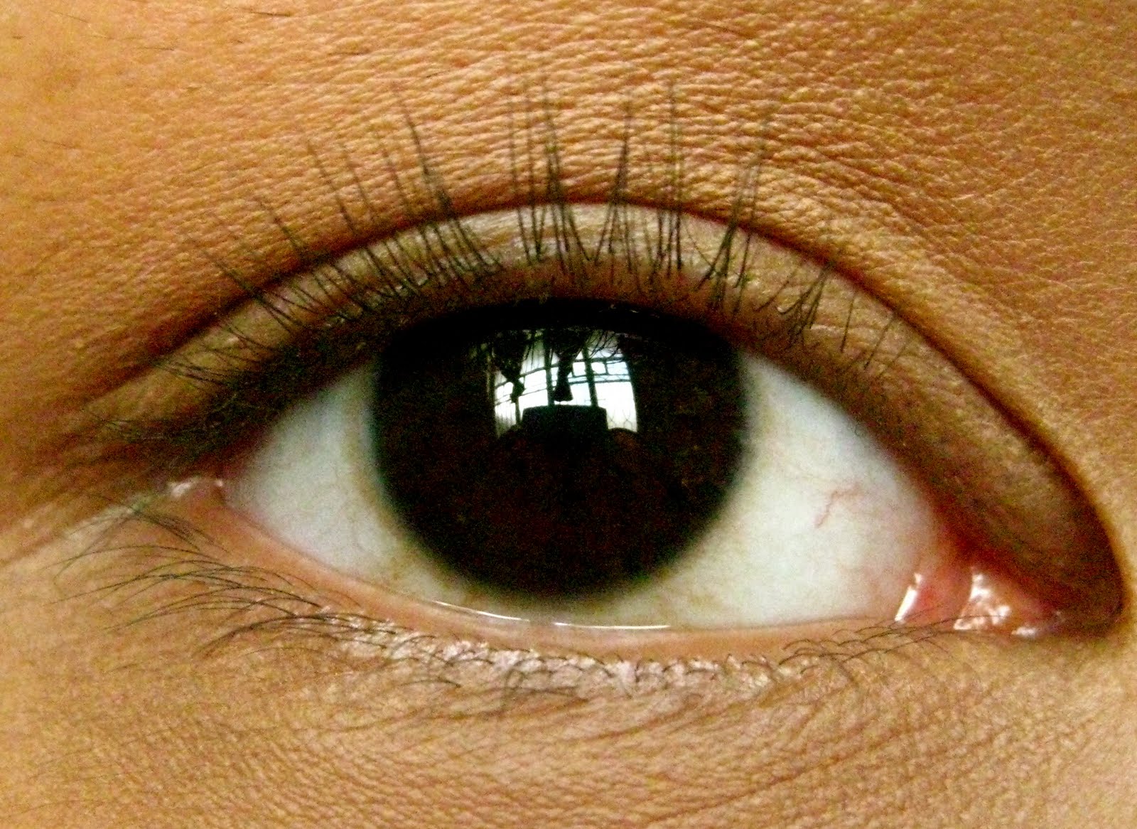 PRODUCT SPOTLIGHT MAYBELLINE CAT EYES+HELLO KITTY MASCARA The Beauty