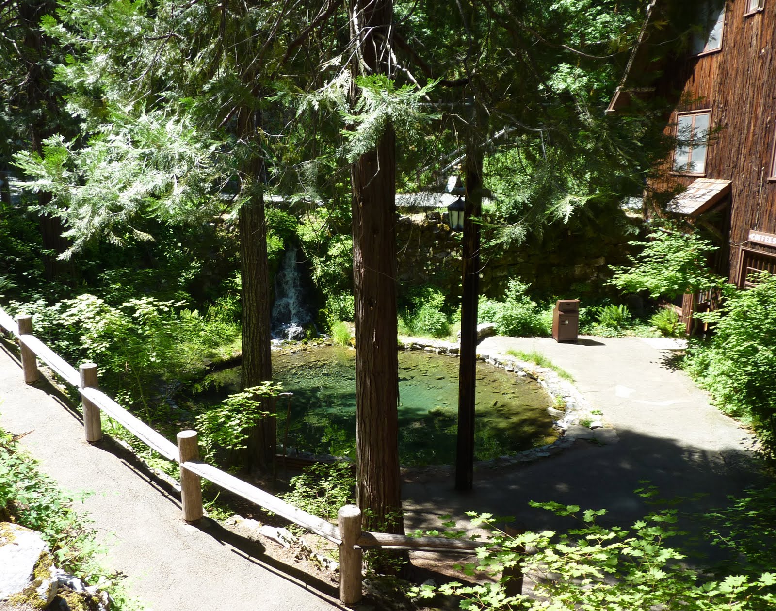 jendocino Cave Junction What's Your Function?