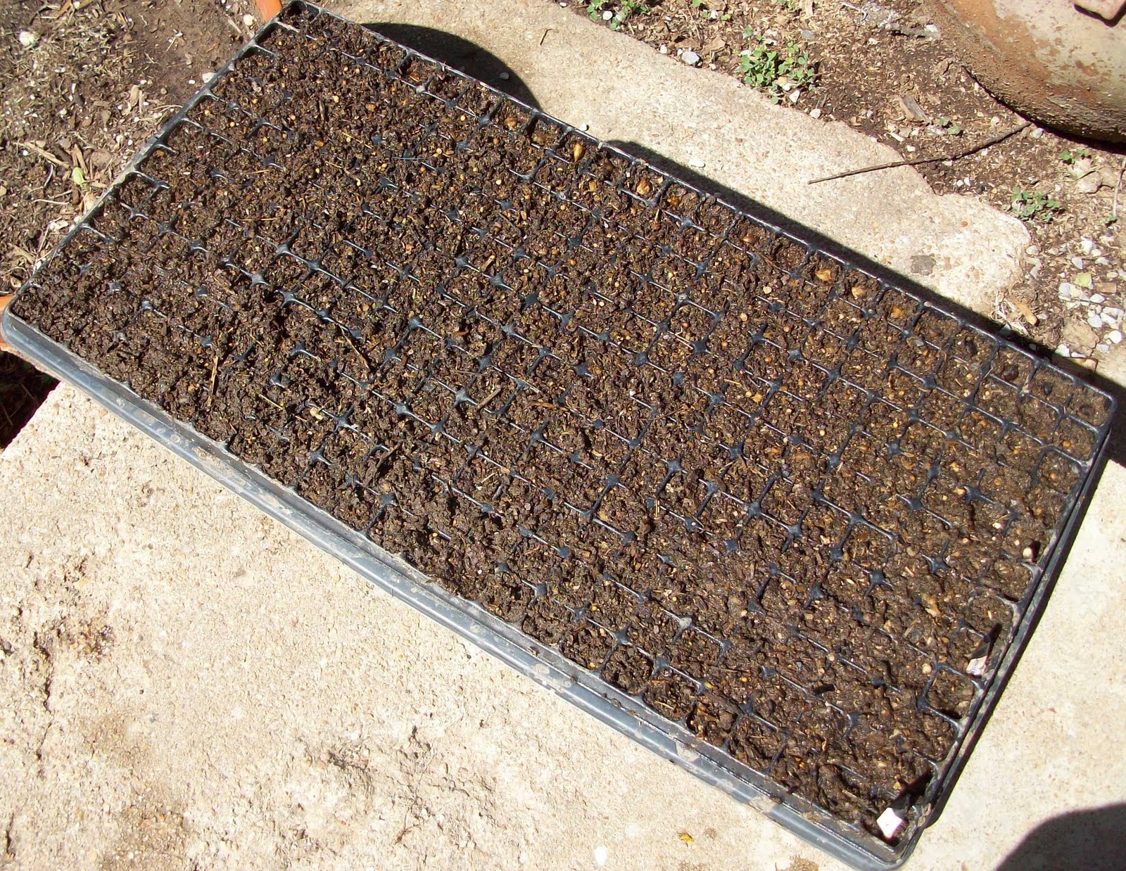 Homestead Roots: Seed Starting Plug Tray 288 Cells in 1 Flat! Part 2