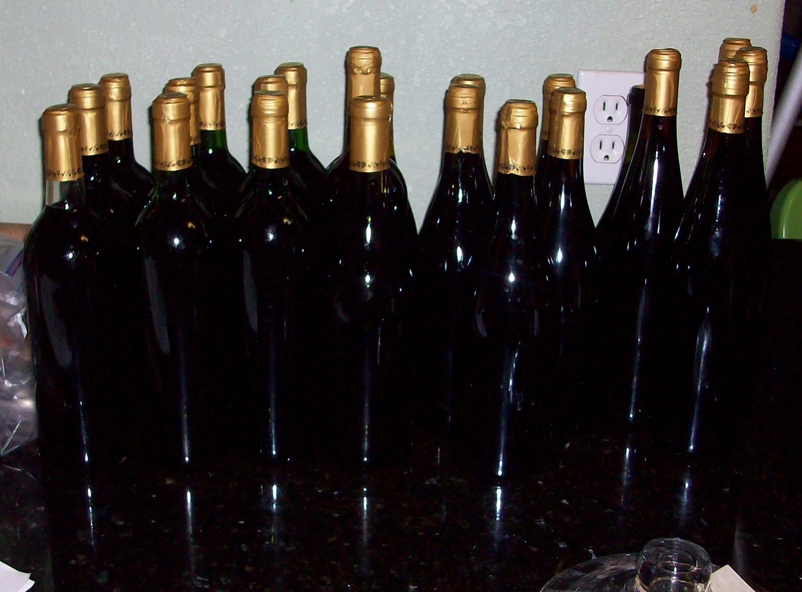 Homestead Roots Wine Home Brew Step by Step with Pics Pinot Noir Phase 2