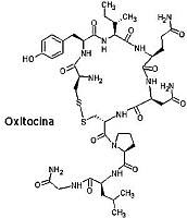 http://4.bp.blogspot.com/_bsx0U9tgEDc/SIaX8n0FbeI/AAAAAAAAADE/ZXQk2f5lTY0/s320/oxitocina.jpg