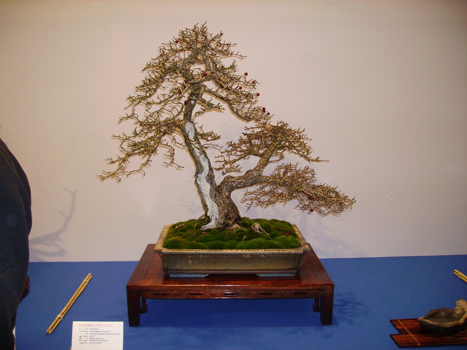 PICT0820.JPG