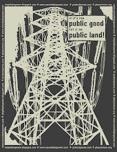 Public Good, Public Land